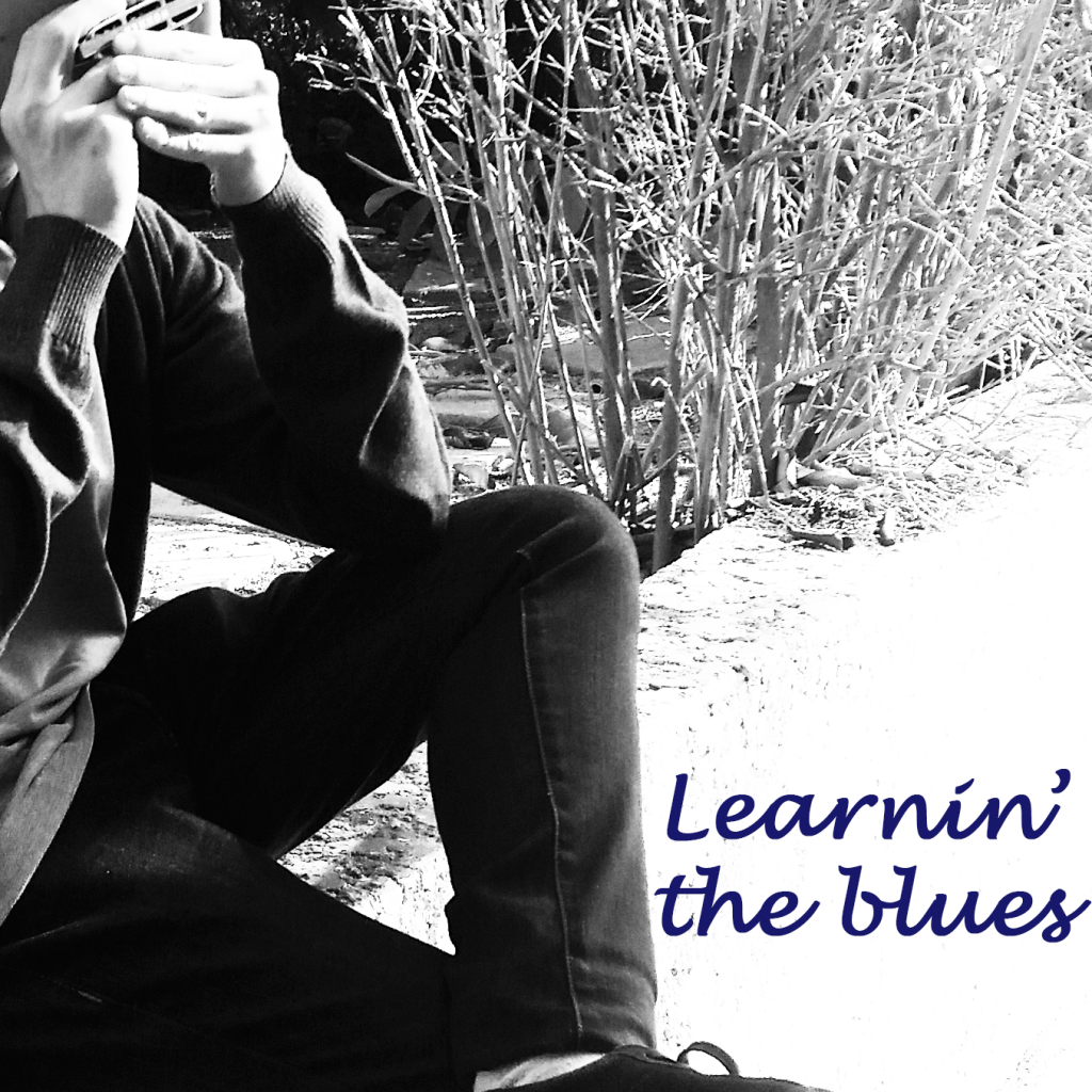 Learnin’ the Blues by Nir Kligsberg - Illustrated by Nir K., Photograph: Assaph H. - Ourboox.com