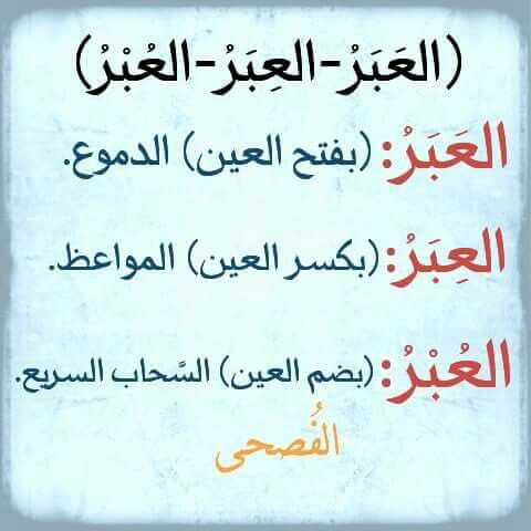 قانون القومية لن نسمح لك!!! كن فخوراً بلغتك العربية by طلاب مدرسة ابن رشد التكنولوجية - Illustrated by مقدم من : طلاب مدرسة ابن رشد التكنولوجية, فهمي هنبوزي , احمد عثمان, محمود عثمان ,حسن خلايلة - Ourboox.com