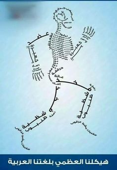 قانون القومية لن نسمح لك!!! كن فخوراً بلغتك العربية by طلاب مدرسة ابن رشد التكنولوجية - Illustrated by مقدم من : طلاب مدرسة ابن رشد التكنولوجية, فهمي هنبوزي , احمد عثمان, محمود عثمان ,حسن خلايلة - Ourboox.com
