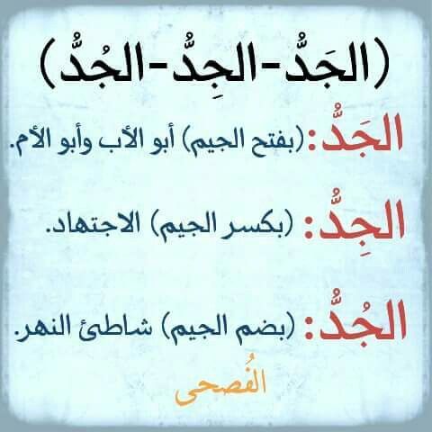 قانون القومية لن نسمح لك!!! كن فخوراً بلغتك العربية by طلاب مدرسة ابن رشد التكنولوجية - Illustrated by مقدم من : طلاب مدرسة ابن رشد التكنولوجية, فهمي هنبوزي , احمد عثمان, محمود عثمان ,حسن خلايلة - Ourboox.com