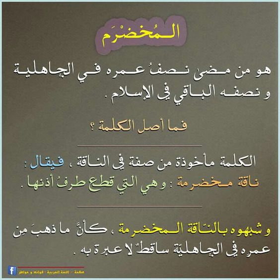 قانون القومية لن نسمح لك!!! كن فخوراً بلغتك العربية by طلاب مدرسة ابن رشد التكنولوجية - Illustrated by مقدم من : طلاب مدرسة ابن رشد التكنولوجية, فهمي هنبوزي , احمد عثمان, محمود عثمان ,حسن خلايلة - Ourboox.com