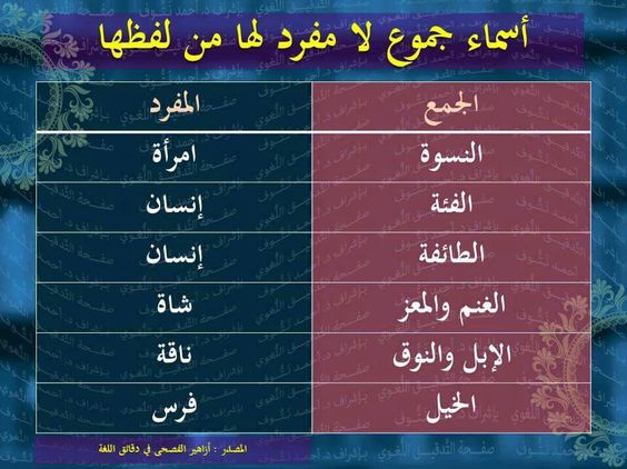 قانون القومية لن نسمح لك!!! كن فخوراً بلغتك العربية by طلاب مدرسة ابن رشد التكنولوجية - Illustrated by مقدم من : طلاب مدرسة ابن رشد التكنولوجية, فهمي هنبوزي , احمد عثمان, محمود عثمان ,حسن خلايلة - Ourboox.com