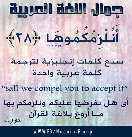 قانون القومية لن نسمح لك!!! كن فخوراً بلغتك العربية by طلاب مدرسة ابن رشد التكنولوجية - Illustrated by مقدم من : طلاب مدرسة ابن رشد التكنولوجية, فهمي هنبوزي , احمد عثمان, محمود عثمان ,حسن خلايلة - Ourboox.com