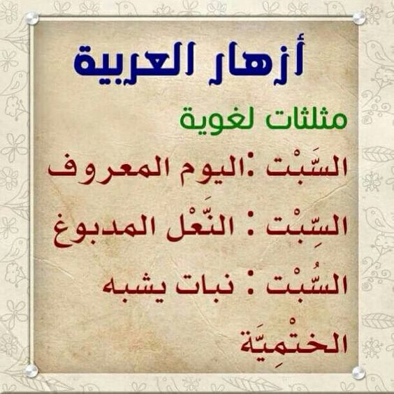 قانون القومية لن نسمح لك!!! كن فخوراً بلغتك العربية by طلاب مدرسة ابن رشد التكنولوجية - Illustrated by مقدم من : طلاب مدرسة ابن رشد التكنولوجية, فهمي هنبوزي , احمد عثمان, محمود عثمان ,حسن خلايلة - Ourboox.com