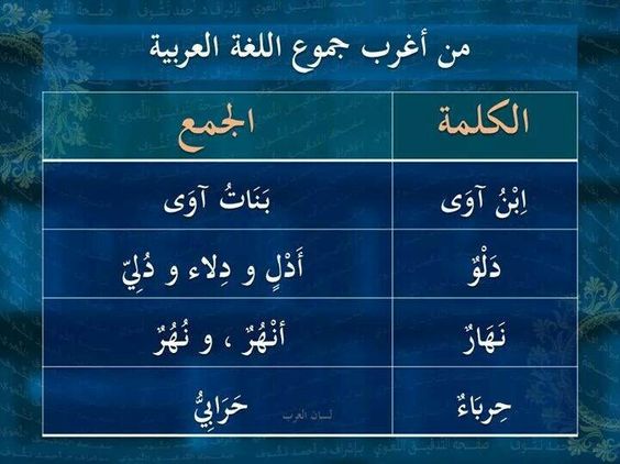 قانون القومية لن نسمح لك!!! كن فخوراً بلغتك العربية by طلاب مدرسة ابن رشد التكنولوجية - Illustrated by مقدم من : طلاب مدرسة ابن رشد التكنولوجية, فهمي هنبوزي , احمد عثمان, محمود عثمان ,حسن خلايلة - Ourboox.com