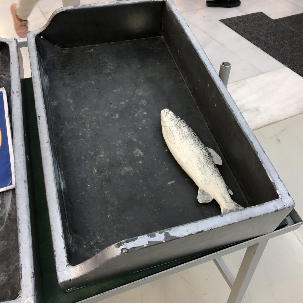 Children’s Museum in Athens by Mel Rosenberg - מל רוזנברג - Ourboox.com