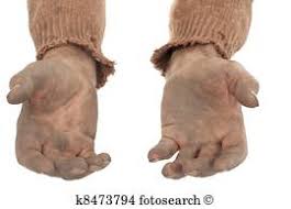 השיח הפיקח מוציא לאור משפט by mishel sigalov - Illustrated by גוגל תמונות - Ourboox.com