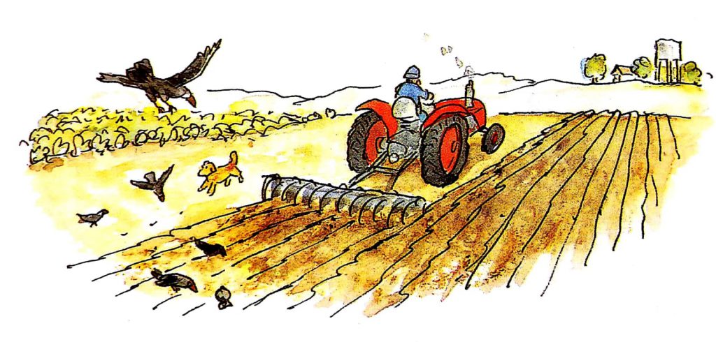 הטרקטור בארגז-החול by shlomit ben pazi - Illustrated by יוסי אבולעפיה - Ourboox.com