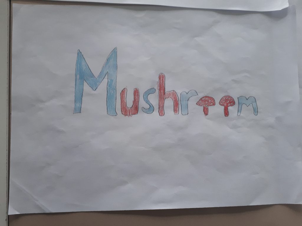 “Learning vocabulary through snapwords and web 2.0 tools” Snapwords e-book by "Learning vocabulary through snapwords and web 2.0 tools" Partners - Ourboox.com