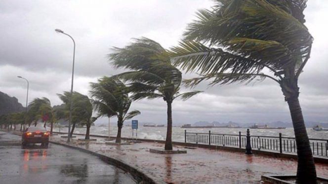 فصل الشتاء - علامات