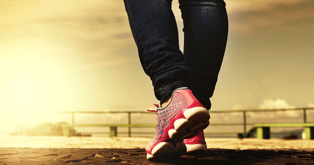 הפחדן והנחש by רוניאל - Ourboox.com