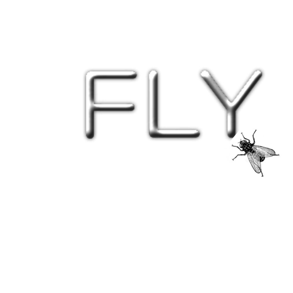 “Learning vocabulary through snapwords and web 2.0 tools” Snapwords e-book by "Learning vocabulary through snapwords and web 2.0 tools" Partners - Ourboox.com