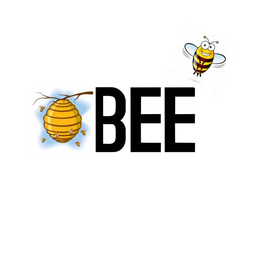 “Learning vocabulary through snapwords and web 2.0 tools” Snapwords e-book by "Learning vocabulary through snapwords and web 2.0 tools" Partners - Ourboox.com