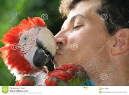 יומנו של יאנקו- עבודה בספרות ליאל וליה by LIEL ROZENSHTEIN - Ourboox.com