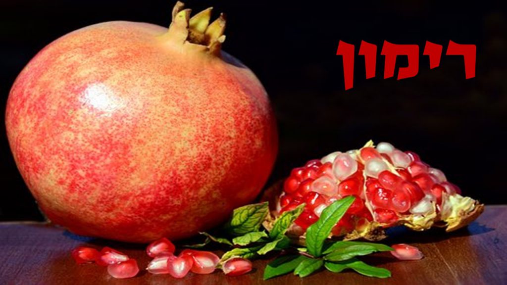 שבעת המינים by shuli tarab - Illustrated by שולי טרב - Ourboox.com