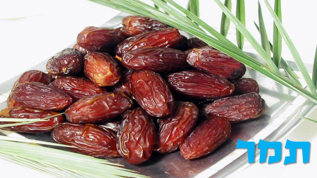 שבעת המינים by shuli tarab - Illustrated by שולי טרב - Ourboox.com