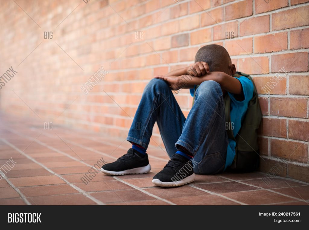 The Bully by Claudia Diaz-Mora - Illustrated by Gerald Purnell - Ourboox.com