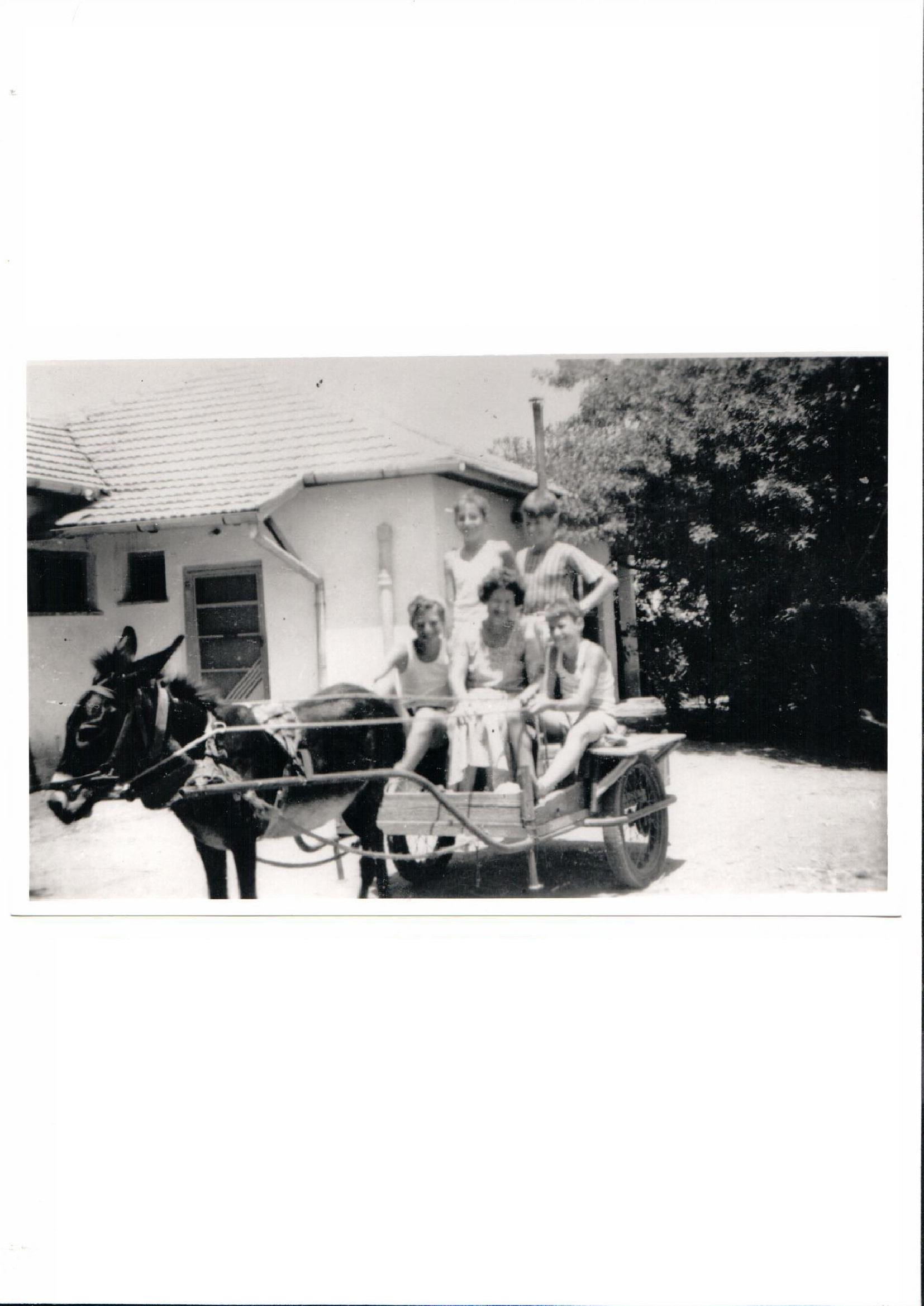 ילדות של סבא דני במושב בית יצחק by lilach - Ourboox.com