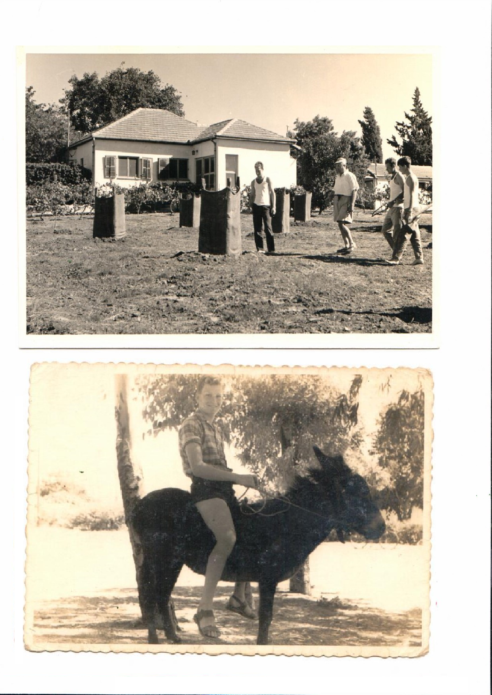 ילדות של סבא דני במושב בית יצחק by lilach - Ourboox.com