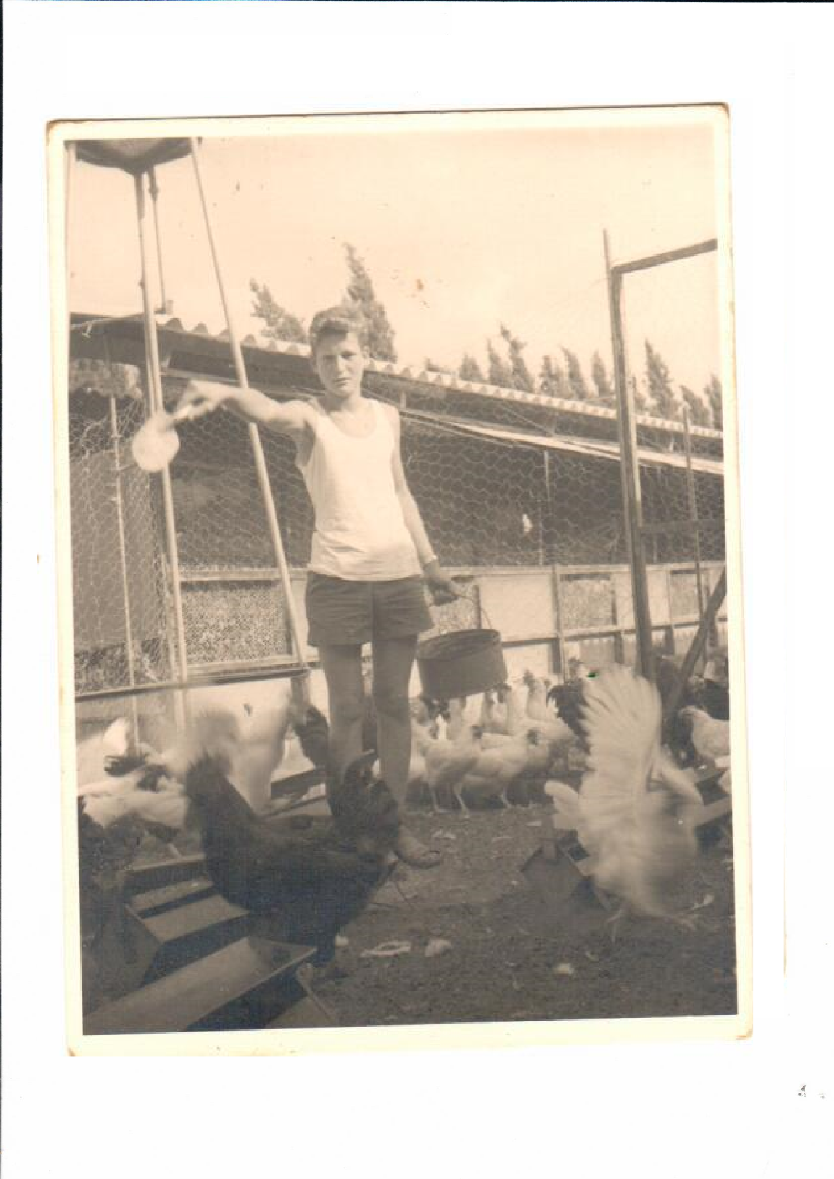 ילדות של סבא דני במושב בית יצחק by lilach - Ourboox.com