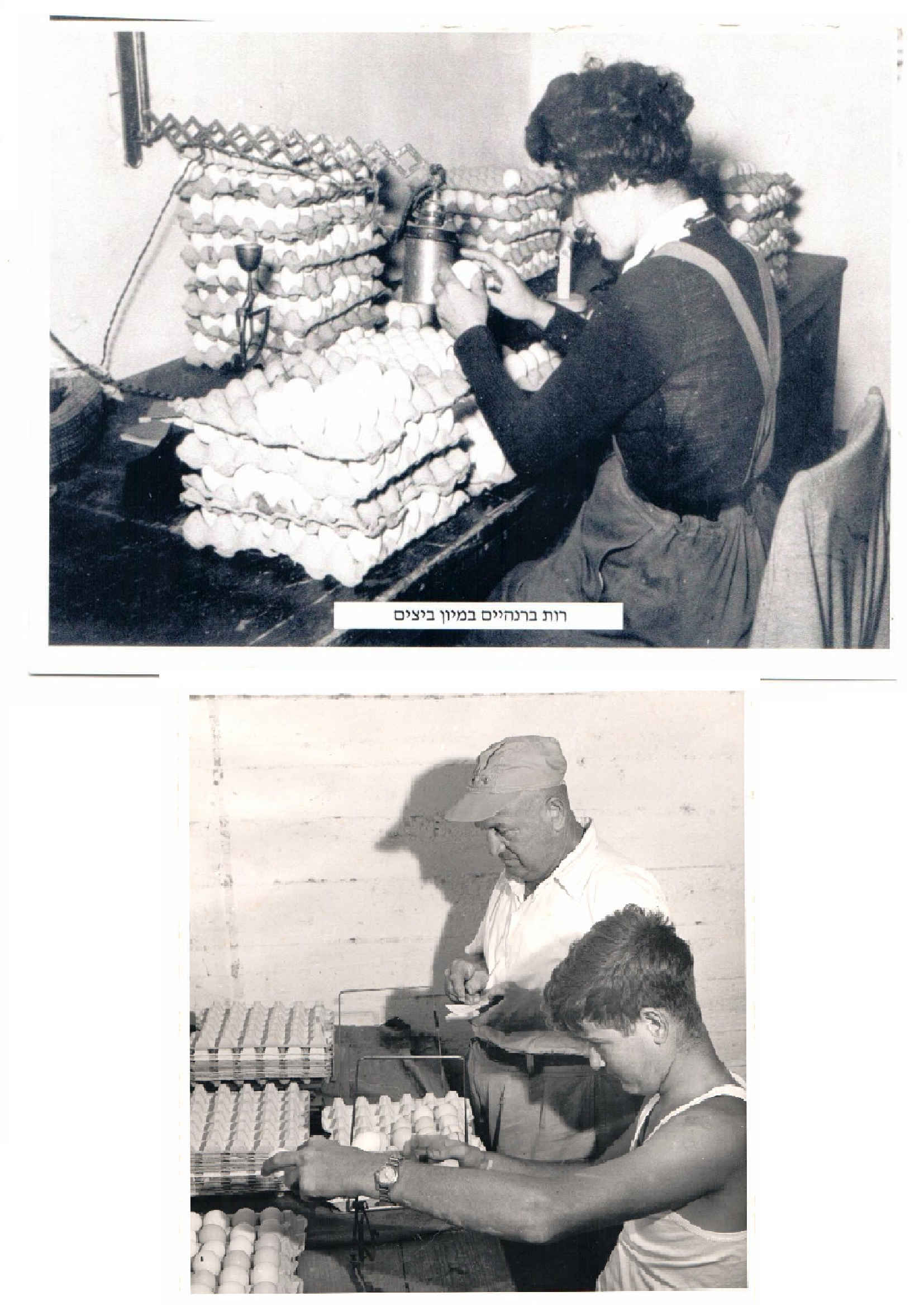 ילדות של סבא דני במושב בית יצחק by lilach - Ourboox.com