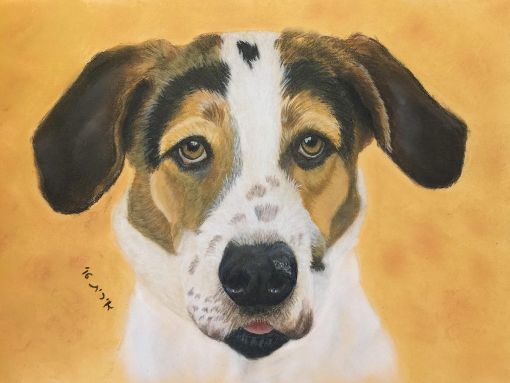 הַכַּלְבָּה by yael shimshoni - Illustrated by מלכה פדרו - Ourboox.com