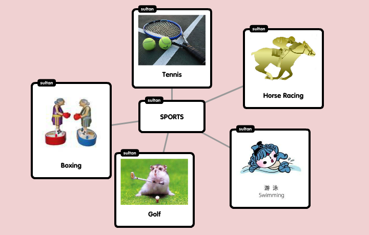 “Learning vocabulary through snapwords and web 2.0 tools” Mindmap e-book by "Learning vocabulary through snapwords and web 2.0 tools" Partners - Ourboox.com