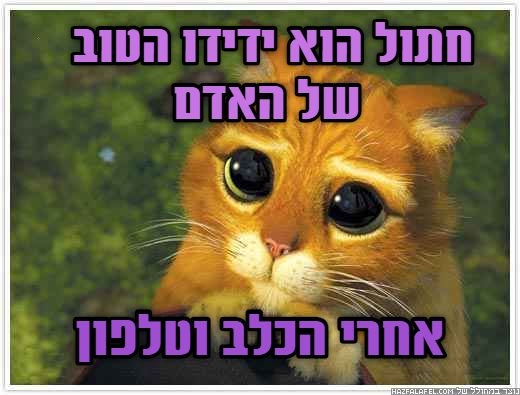 החיים שלי by yahel ashkenazi - Ourboox.com