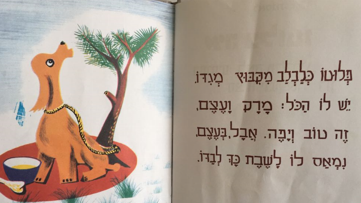 איה פלוטו by shir levi - Illustrated by לאה גולדברג - Ourboox.com