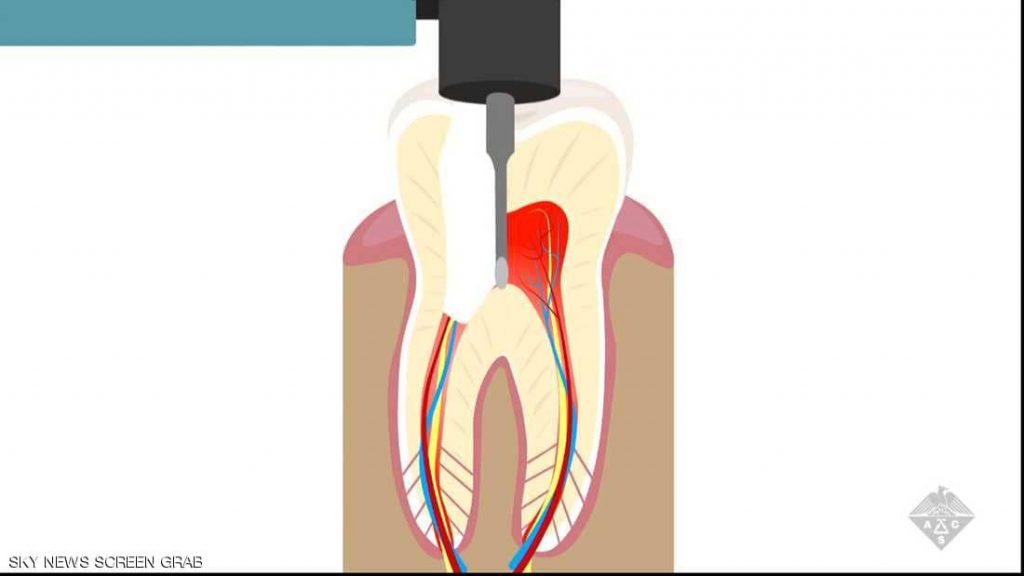 مبنى الاسنان by rawanmwasi - Ourboox.com