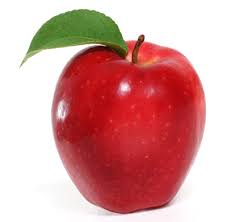 הזחל הרעב by talya zada - Illustrated by אריק קרל - Ourboox.com