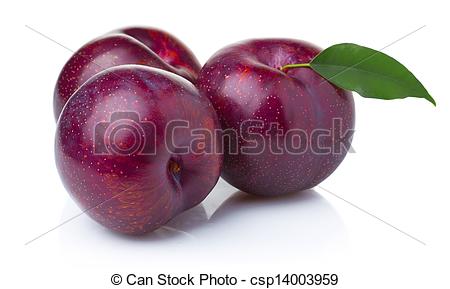 הזחל הרעב by talya zada - Illustrated by אריק קרל - Ourboox.com