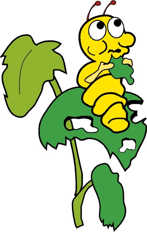 הזחל הרעב by talya zada - Illustrated by אריק קרל - Ourboox.com