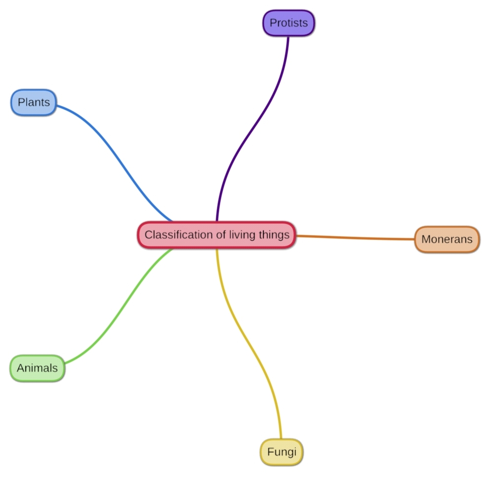 “Learning vocabulary through snapwords and web 2.0 tools” Mindmap e-book by "Learning vocabulary through snapwords and web 2.0 tools" Partners - Ourboox.com