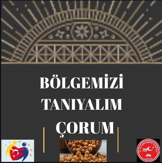 BÖLGEMİZİ TANIYALIM PROJESİ ÖĞRETMEN POSTERLERİ by sultan yıldız - Ourboox.com