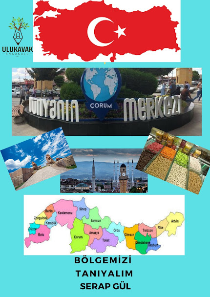 BÖLGEMİZİ TANIYALIM PROJESİ ÖĞRETMEN POSTERLERİ by sultan yıldız - Ourboox.com