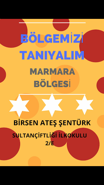 BÖLGEMİZİ TANIYALIM PROJESİ ÖĞRETMEN POSTERLERİ by sultan yıldız - Ourboox.com