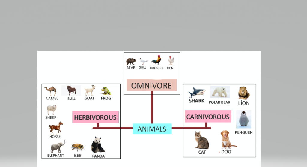 “Learning vocabulary through snapwords and web 2.0 tools” Mindmap e-book by "Learning vocabulary through snapwords and web 2.0 tools" Partners - Ourboox.com