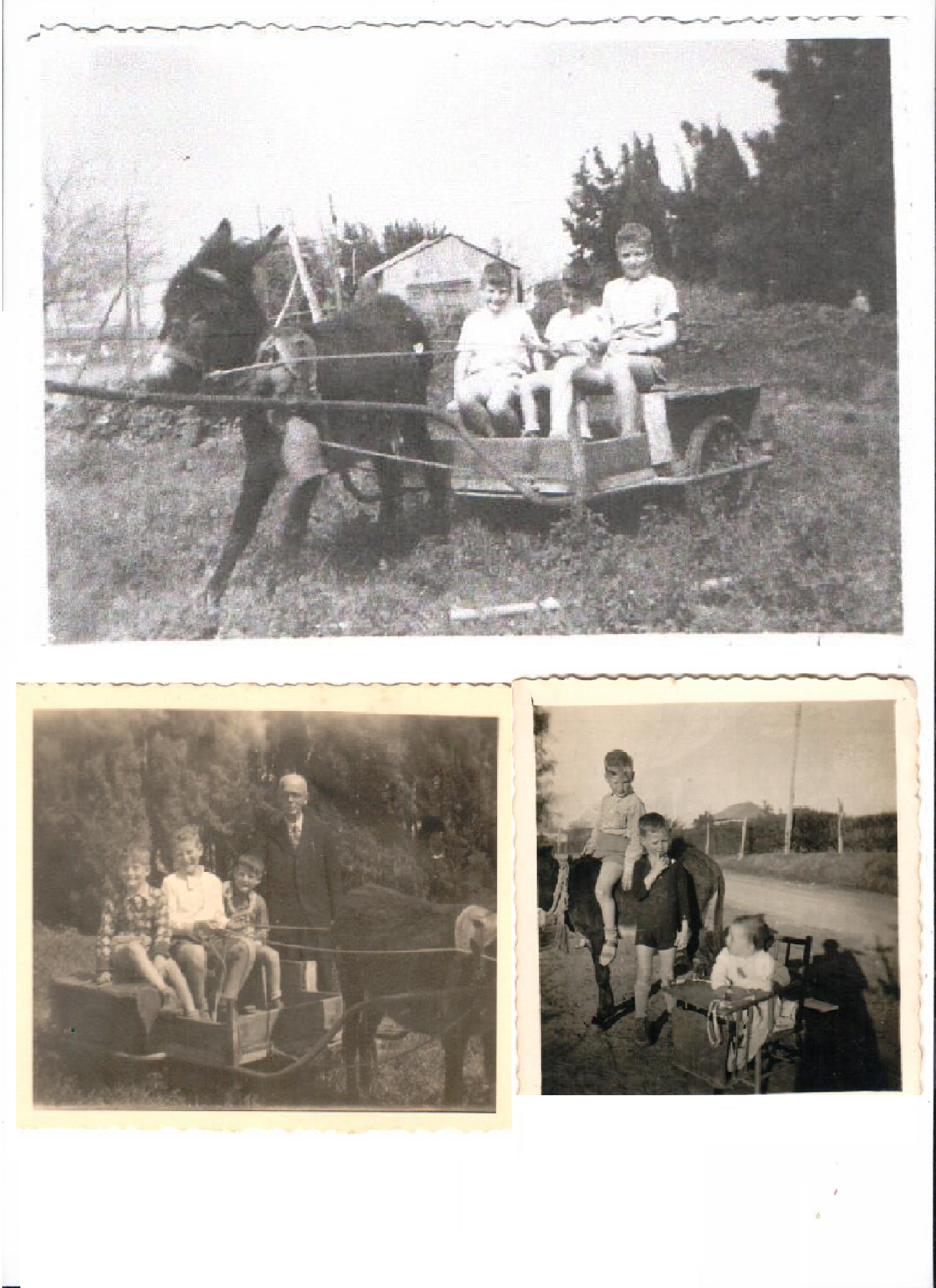 ילדות של סבא דני במושב בית יצחק by lilach - Ourboox.com