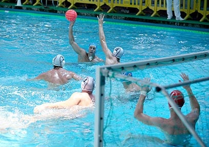 water polo by clil - Ourboox.com
