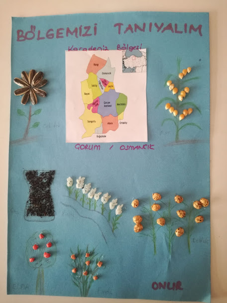 BÖLGEMİZİ TANIYALIM PROJESİ ÖĞRENCİ POSTERLERİ E-BOOK by ÖZDEN ARAR - Ourboox.com
