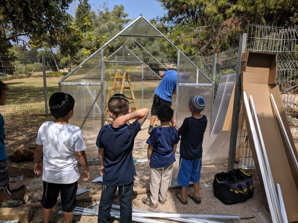 החממה – חלומות מתגשמים by ERAN DISHON - Ourboox.com