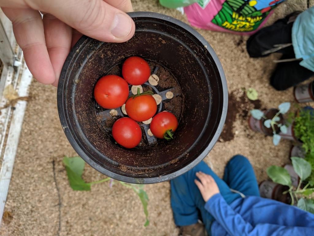 החממה – חלומות מתגשמים by ERAN DISHON - Ourboox.com