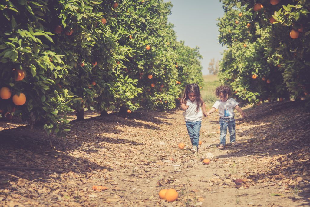 שי מן הפרדס by Zehava and Galit - Ourboox.com