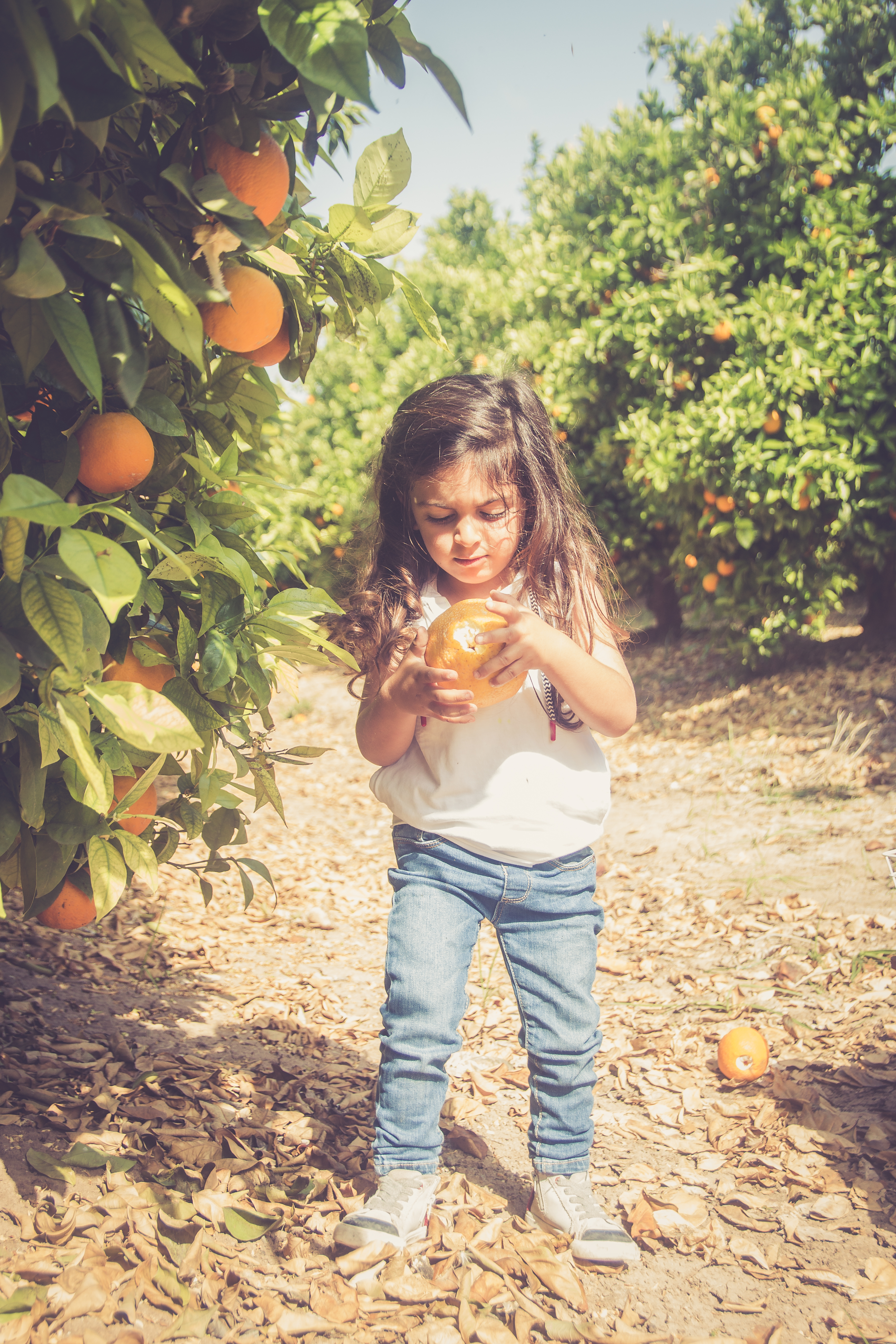 שי מן הפרדס by Zehava and Galit - Ourboox.com