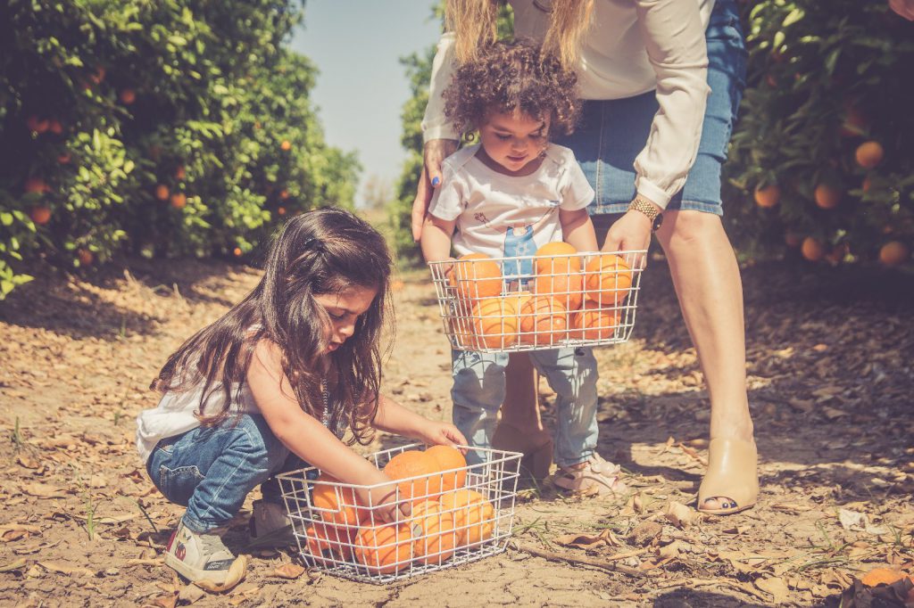 שי מן הפרדס by Zehava and Galit - Ourboox.com