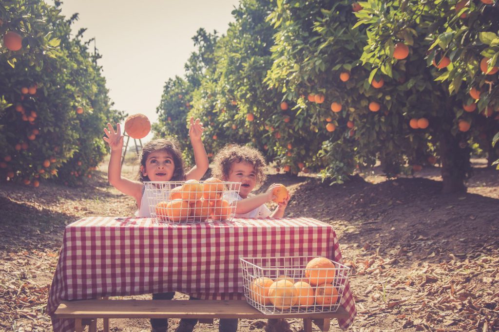 שי מן הפרדס by Zehava and Galit - Ourboox.com