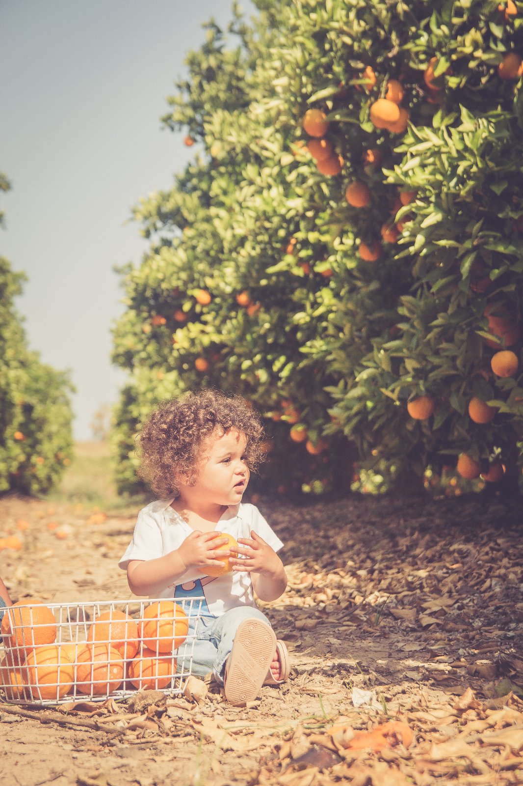 שי מן הפרדס by Zehava and Galit - Ourboox.com