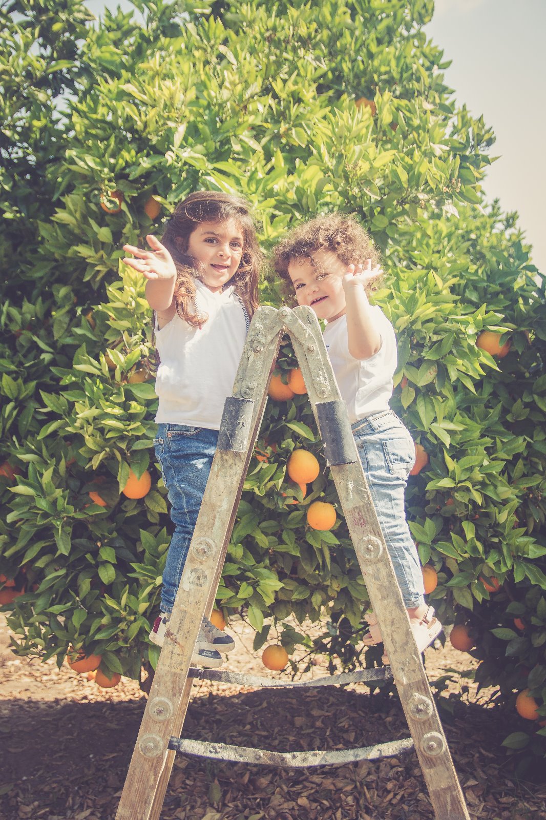 שי מן הפרדס by Zehava and Galit - Ourboox.com