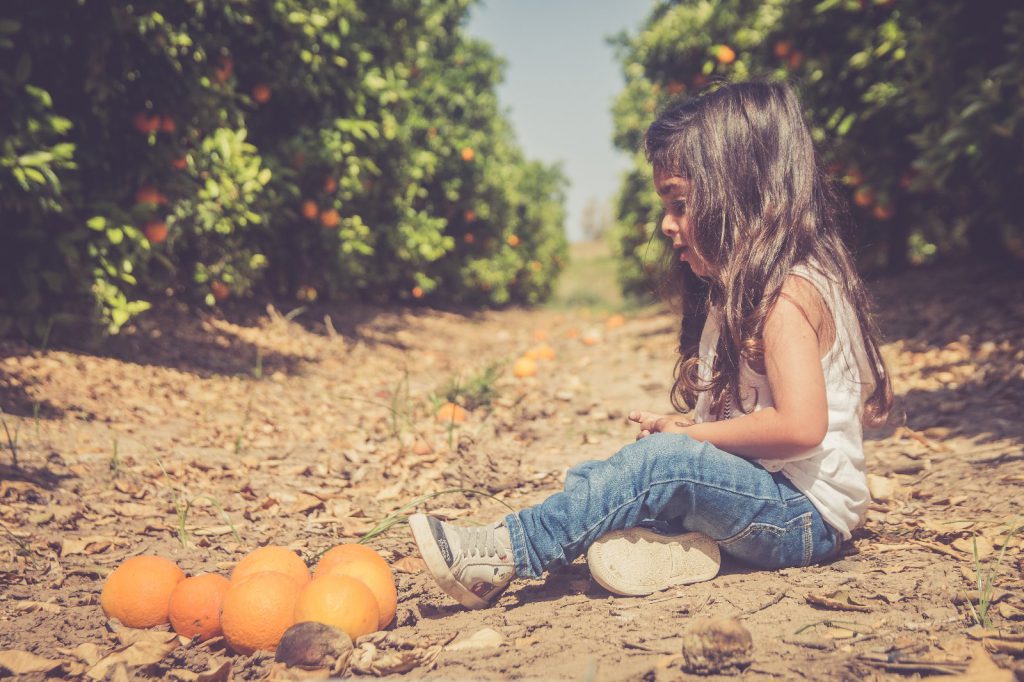 שי מן הפרדס by Zehava and Galit - Ourboox.com